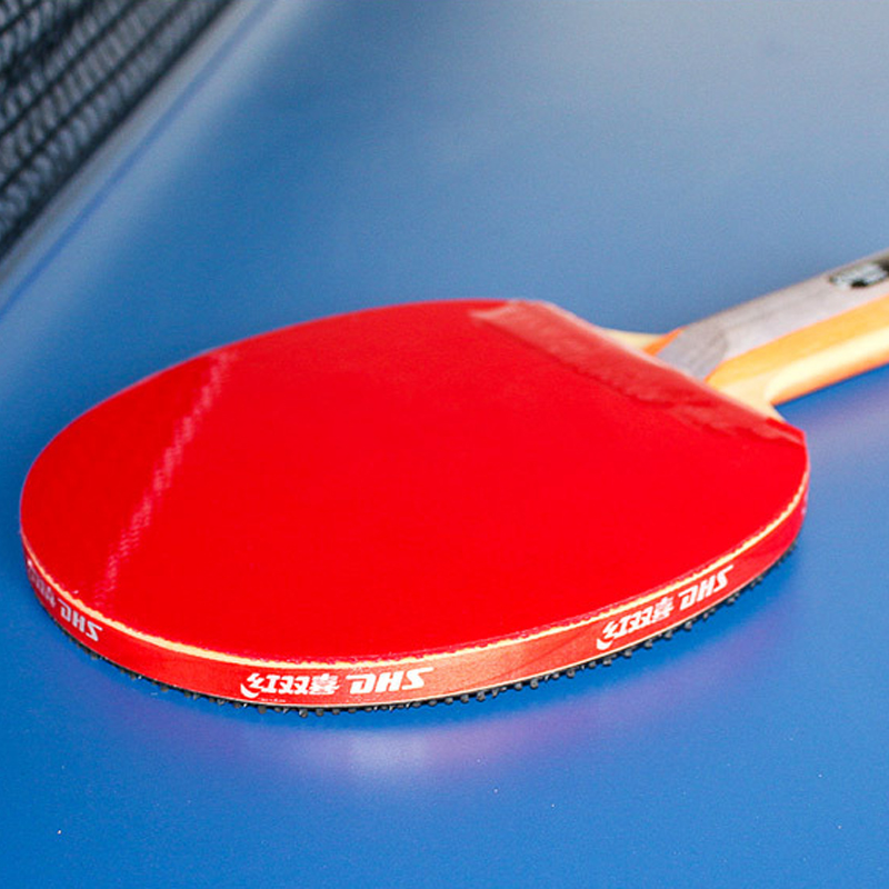 DHS zelfklevende Tafeltennis R - Table Tennis Loki recensie en prijs
